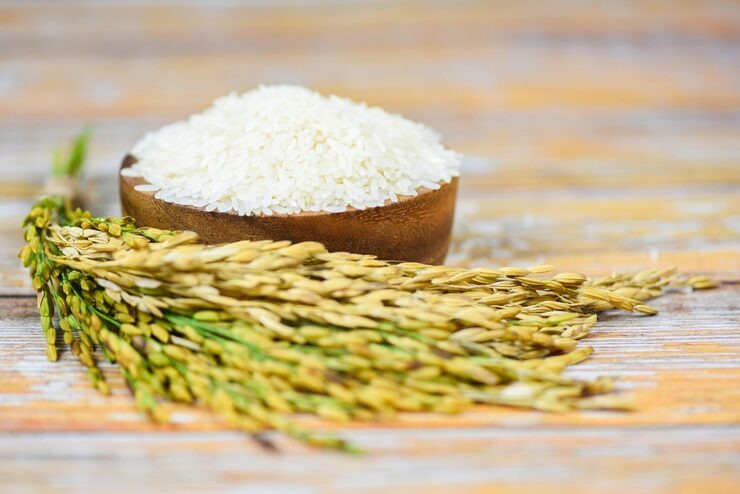 برنج ارگانیک