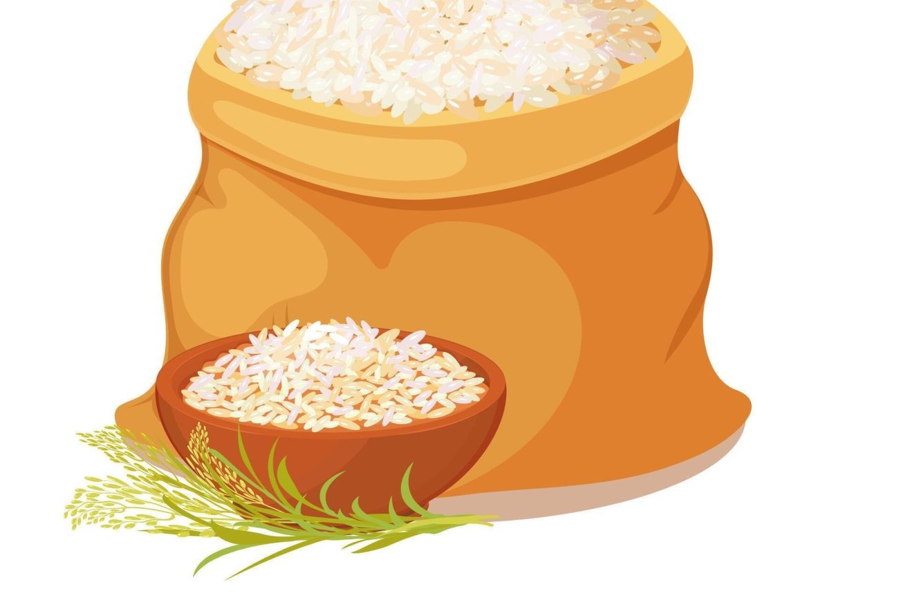 برنج کشت دوم طارم هاشمی شالیا